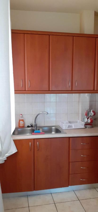 Irene Apartment Ioannina Exterior photo